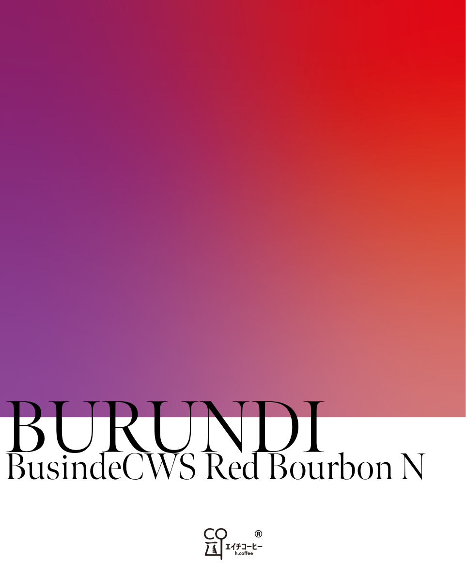 ブルンジ ブシンデCWS レッドブルボン ナチュラル 注文焙煎