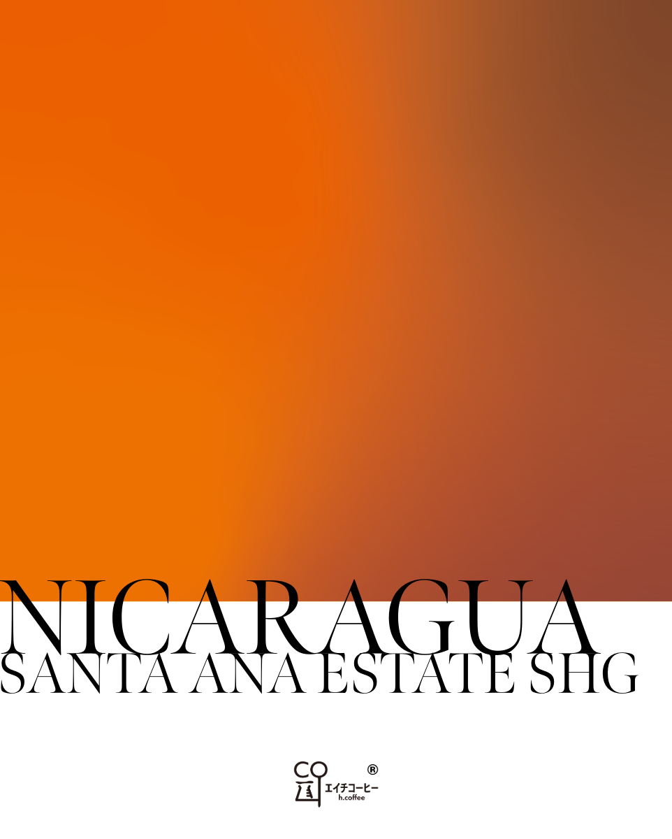 ニカラグア サンタアナ SHG 注文焙煎
